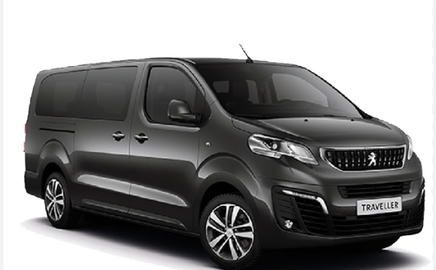 Peugeot Expert Traveller, Mercedes Vito 8+1 ve benzeri...